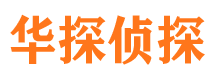 辰溪侦探公司